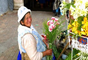 wcms_310222